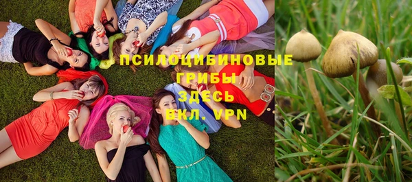 спайс Кинешма