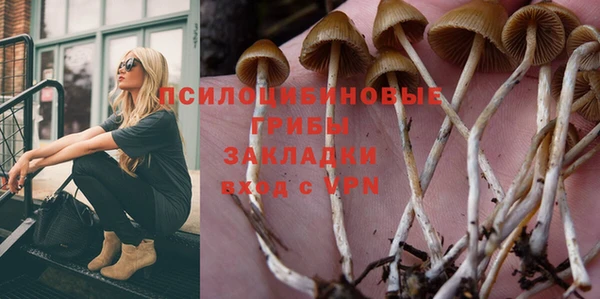 ECSTASY Баксан
