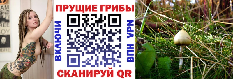 наркотики  Плёс  Галлюциногенные грибы ЛСД 
